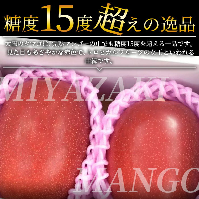 【ふるさと納税】数量限定【2026年発送】＜宮崎県産 太陽のタマゴ A等級 2Lサイズ×3玉（合計約1kg）＞※入金確認後、2026年4月上旬〜6月末迄に順次出荷に順次出荷 果物 青果 フルーツ 完熟 マンゴー 贈答 JAみやざき 宮崎県 国富町 【冷蔵】 サムネイル2