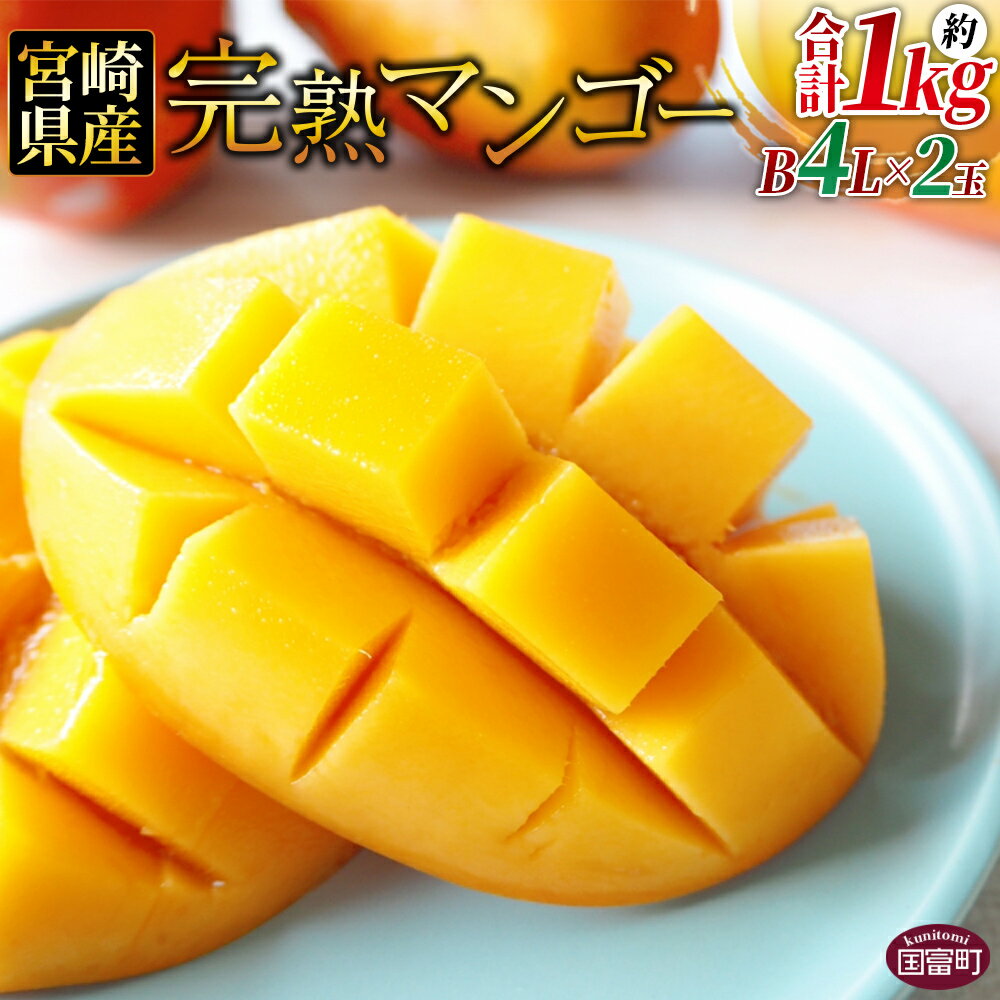 数量限定【2026年発送】＜宮崎県産 完熟マンゴー B等級 4Lサイズ×2玉（合計 約1kg）＞※入金確認後、2026年4月上旬〜2026年6月下旬迄に順次出荷 JAみやざき 国産 マンゴー 果物 果実 フルーツ 甘い JAみやざき 宮崎県 国富町 【冷蔵】