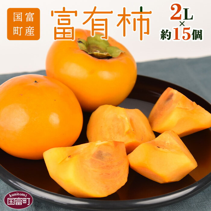 数量限定！予約受付！＜国富町産 富有柿 2L×約15個＞※入金確認後、2025年11月中旬から12月中旬に順次出荷します。フルーツ 果物 かき カキ 片山柿園 宮崎県 国富町 0255_ky_x1 【常温】