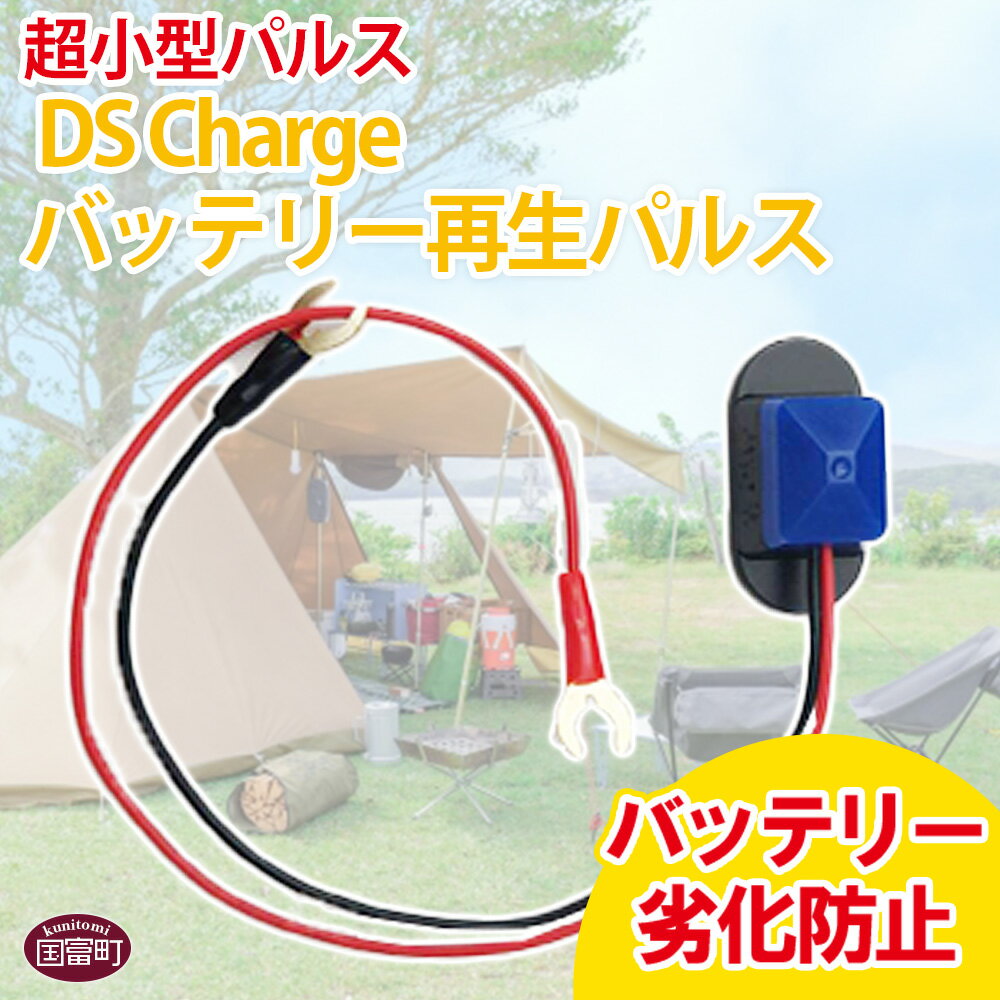 ＜超小型パルス DS Chargeバッテリー再生パルス＞※入金確認後、2か月以内に順次出荷します。 防災グッズ 自動車 バイク 資源保護 DSチャージャー バッテリー再利用 長寿命 株式会社関谷 送料無料 宮崎県 国富町 0606_sk