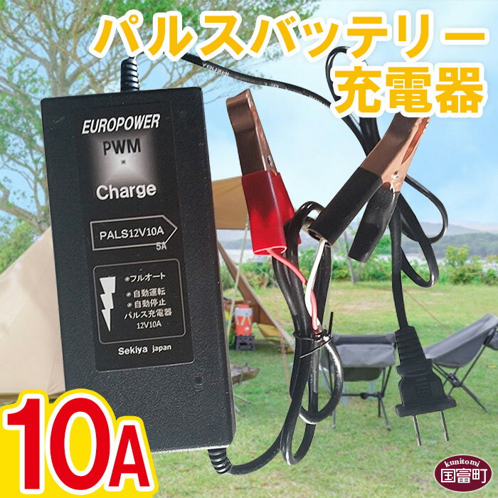 ＜パルスバッテリー充電器 10A＞※入金確認後、翌月末迄に順次出荷します。 節電 節約 バッテリー シニアカー 手軽 コンパクト 小型 株式会社関谷 送料無料 宮崎県 国富町