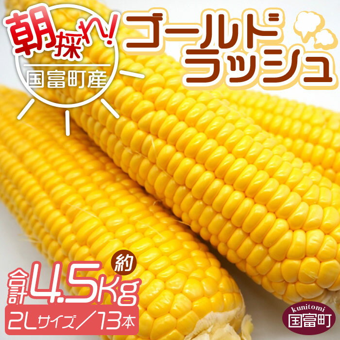 【予約受付】＜朝採れ！国富町産ゴールドラッシュ（4.5kg 2Lサイズ 13本）＞※入金確認後、2026年5月下旬〜7月上旬迄に順次出荷します。トウモロコシ スイートコーン 野菜 穀物 甘い サンクールシステム 宮崎県 国富町【冷蔵】