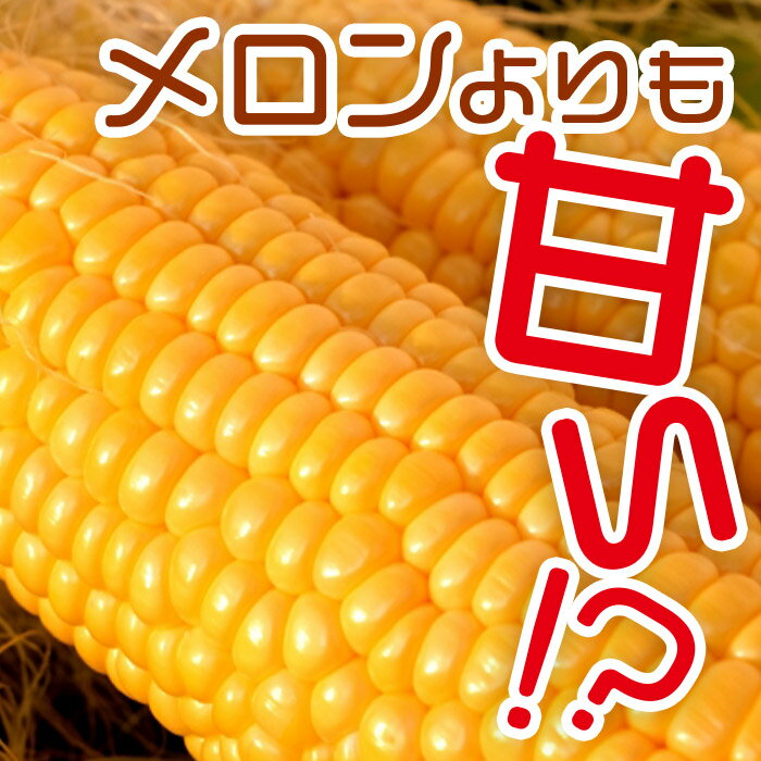 【ふるさと納税】【予約受付】＜朝採れ！国富町産ゴールドラッシュ（4.5kg 2Lサイズ 13本）＞※入金確認後、2026年5月下旬〜7月上旬迄に順次出荷します。トウモロコシ スイートコーン 野菜 穀物 甘い サンクールシステム 宮崎県 国富町【冷蔵】 - 画像2