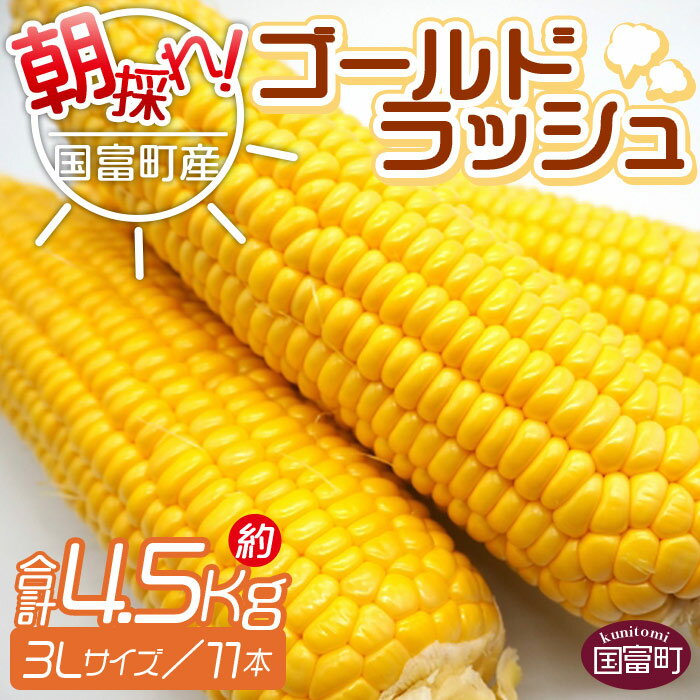 【予約受付】＜朝採れ！国富町産ゴールドラッシュ（4.5kg 3Lサイズ 11本）＞※入金確認後、2026年5月下旬〜7月上旬迄に順次出荷します。トウモロコシ スイートコーン 野菜 穀物 甘い サンクールシステム 宮崎県 国富町【冷蔵】