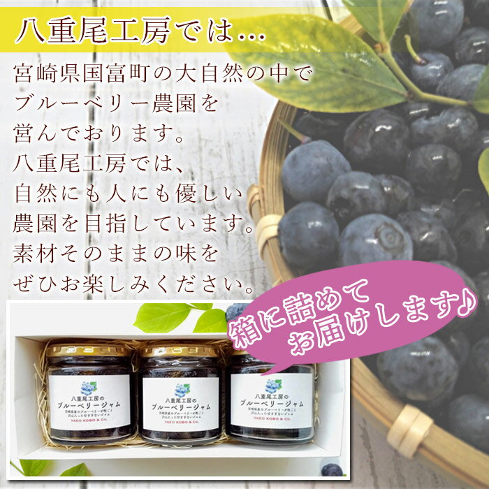 【ふるさと納税】八重尾工房が贈る＜ブルーベリージャム260g×3個＞※入金確認後、翌月末迄に順次出荷します。フルーツ 果物 果実 瓶 贈り物 ギフト 八重尾工房 宮崎県 国富町 0189_ye_x1【常温】 サムネイル3