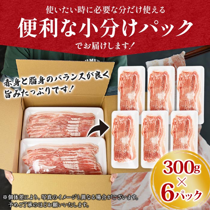 【ふるさと納税】 ＼累計24,000パック突破！／＜宮崎県産豚バラスライス 合計1.8kg（300g×6）＞※ご希望の出荷時期をお選びください。 豚肉 小分け 三枚肉 主婦 豚ばら 豚丼 肉巻き おかず 脂身 国産 宮崎県 国富町【冷凍】 サムネイル3