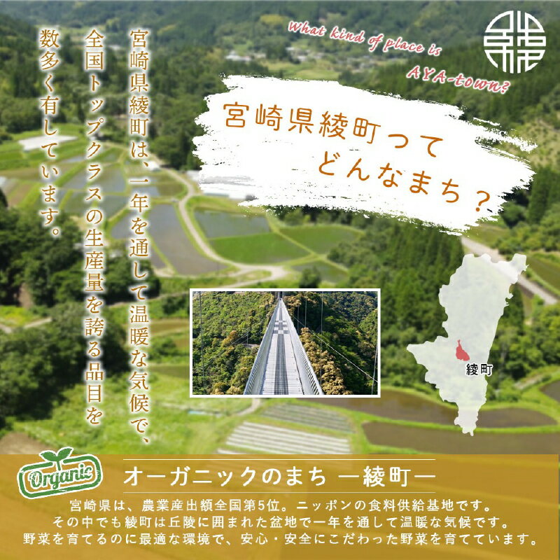 【ふるさと納税】高評価★4.82 綾町旬野菜ギフト / 野菜定期便 野菜セット 野菜詰め合わせ 定期便 有機 野菜 定期 1回 3回 6回 12回 3ヵ月 6ヵ月 12ヵ月 新鮮 旬 産地直送 ふるさと納税 送料無料 【オーガニックのまち 宮崎県綾町】 サムネイル3