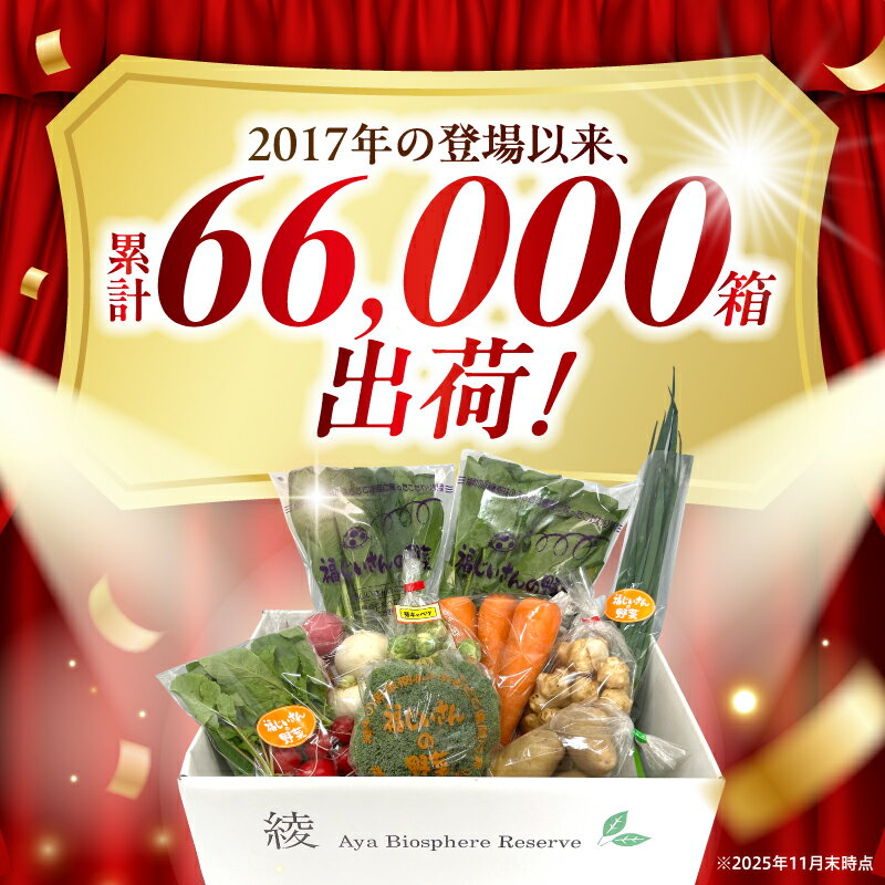 【ふるさと納税】綾町旬野菜ギフト / 野菜定期便 野菜セット 野菜詰め合わせ 定期便 有機 野菜 定期 1回 3回 6回 12回 3ヵ月 6ヵ月 12ヵ月 新鮮 旬 産地直送 ふるさと納税 送料無料 【オーガニックのまち 宮崎県綾町】 - 画像2