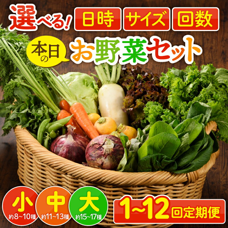 【ふるさと納税】ヒルナンデスで紹介されました＜選べる！日時＆サイズ＆お届け回数＞ 本日のお野菜セット / 野菜定期便 2回 6回 12回 2ヵ月 6ヵ月 12ヵ月 定期 野菜詰め合わせ 野菜 有機栽培 新鮮 産地直送 季節 旬 送料無料 ふるさと納税 - 画像2