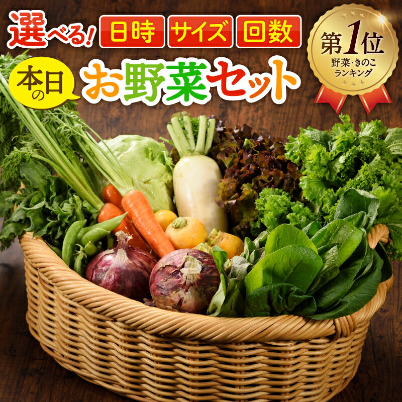 選べる！日時＆サイズ＆お届け回数 本日のお野菜セット 7～8種 10種 12種 1回 2回 6回 12回 定期便 2ヵ月 6ヵ月 12ヵ月 詰め合わせ 新鮮 産地直送 季節の野菜 有機栽培 送料無料 ふるさと納税 オーガニックのまち 宮崎県綾町