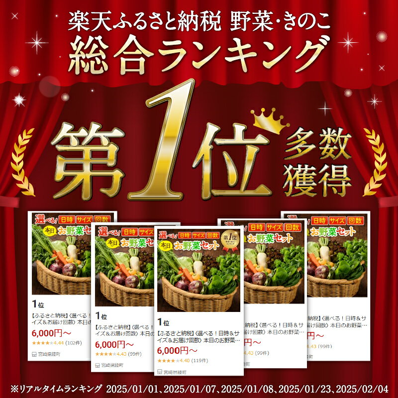 【ふるさと納税】ヒルナンデスで紹介されました＜選べる！日時＆サイズ＆お届け回数＞ 本日のお野菜セット / 野菜定期便 2回 6回 12回 2ヵ月 6ヵ月 12ヵ月 定期 野菜詰め合わせ 野菜 有機栽培 新鮮 産地直送 季節 旬 送料無料 ふるさと納税 サムネイル2