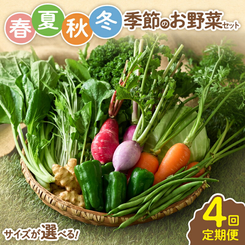 〈サイズが選べる！〉春夏秋冬 季節のお野菜セット【全4回定期便】 宮崎県 7～8種 10種 12種 定期便 詰め合わせ 新鮮 産地直送 おまかせ 季節の野菜 農家直送 有機栽培 ふるさと納税 送料無料【オーガニックのまち 宮崎県綾町】