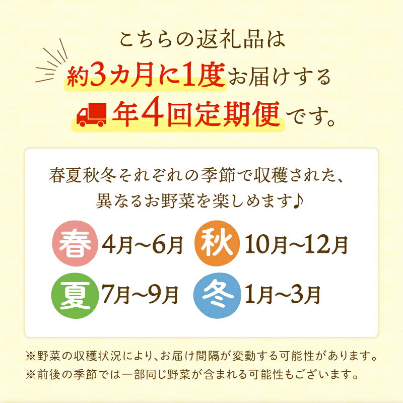 【ふるさと納税】〈サイズが選べる！〉春夏秋冬 季節のお野菜セット【全4回定期便】 宮崎県 7～8種 10種 12種 定期便 詰め合わせ 新鮮 産地直送 おまかせ 季節の野菜 農家直送 有機栽培 ふるさと納税 送料無料【オーガニックのまち 宮崎県綾町】 - 画像2
