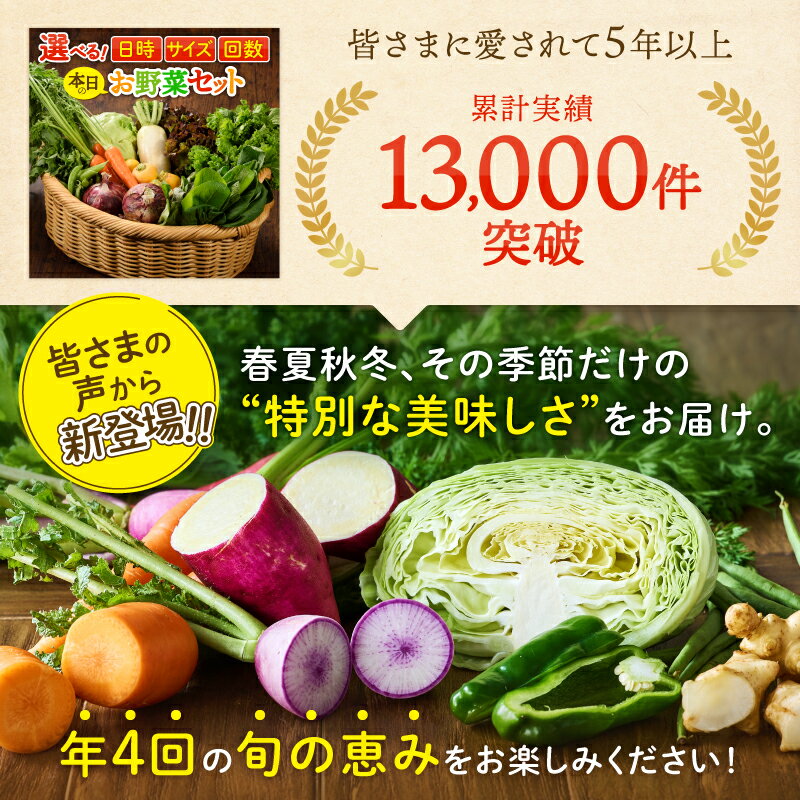 【ふるさと納税】〈サイズが選べる！〉春夏秋冬 季節のお野菜セット【全4回定期便】 宮崎県 7～8種 10種 12種 定期便 詰め合わせ 新鮮 産地直送 おまかせ 季節の野菜 農家直送 有機栽培 ふるさと納税 送料無料【オーガニックのまち 宮崎県綾町】 - 画像3