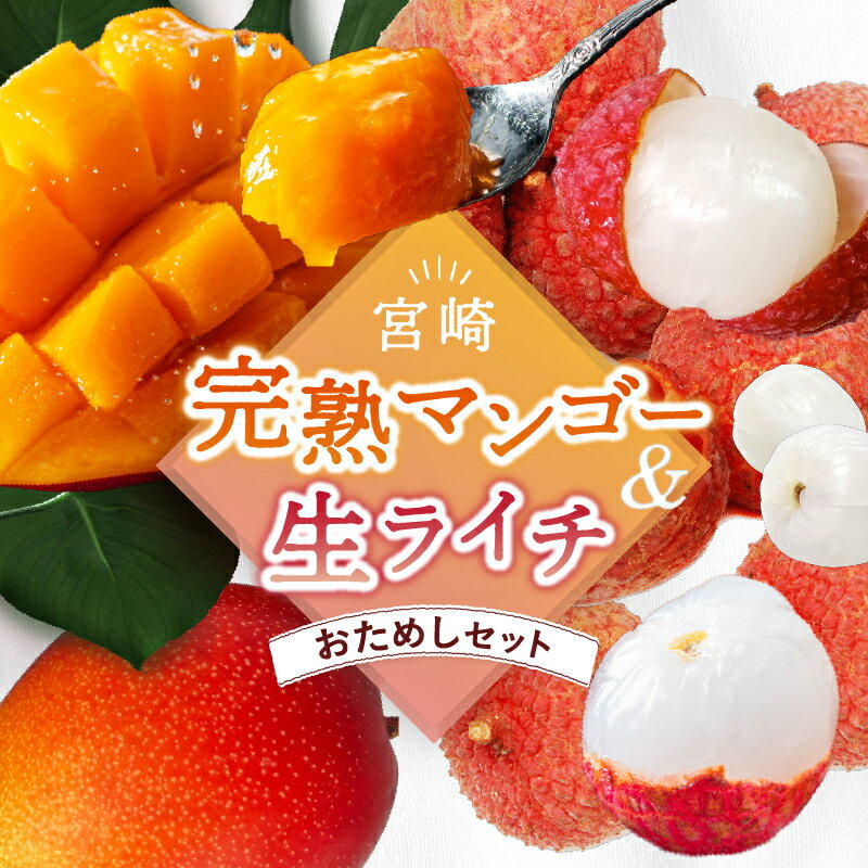 先行予約 完熟マンゴー＆生ライチセット / 宮崎県産 マンゴー 国産ライチ 果物 フルーツ 先行受付 予約 産地直送 期間限定 濃厚 甘い 産地直送 お中元 送料無料 ふるさと納税