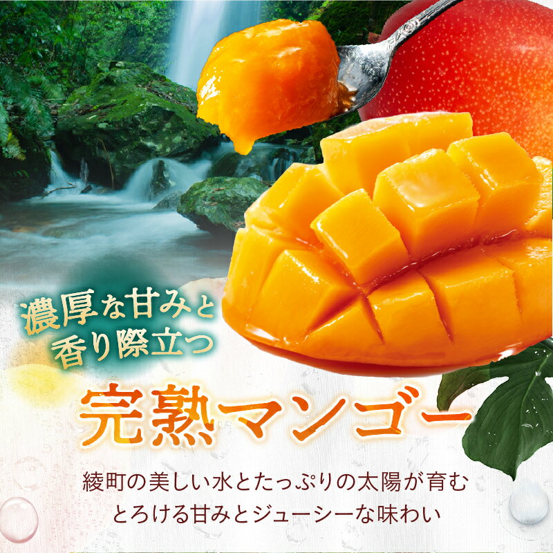 【ふるさと納税】先行予約 完熟マンゴー＆生ライチセット / 宮崎県産 マンゴー 国産ライチ 果物 フルーツ 先行受付 予約 産地直送 期間限定 濃厚 甘い 産地直送 お中元 送料無料 ふるさと納税 サムネイル3