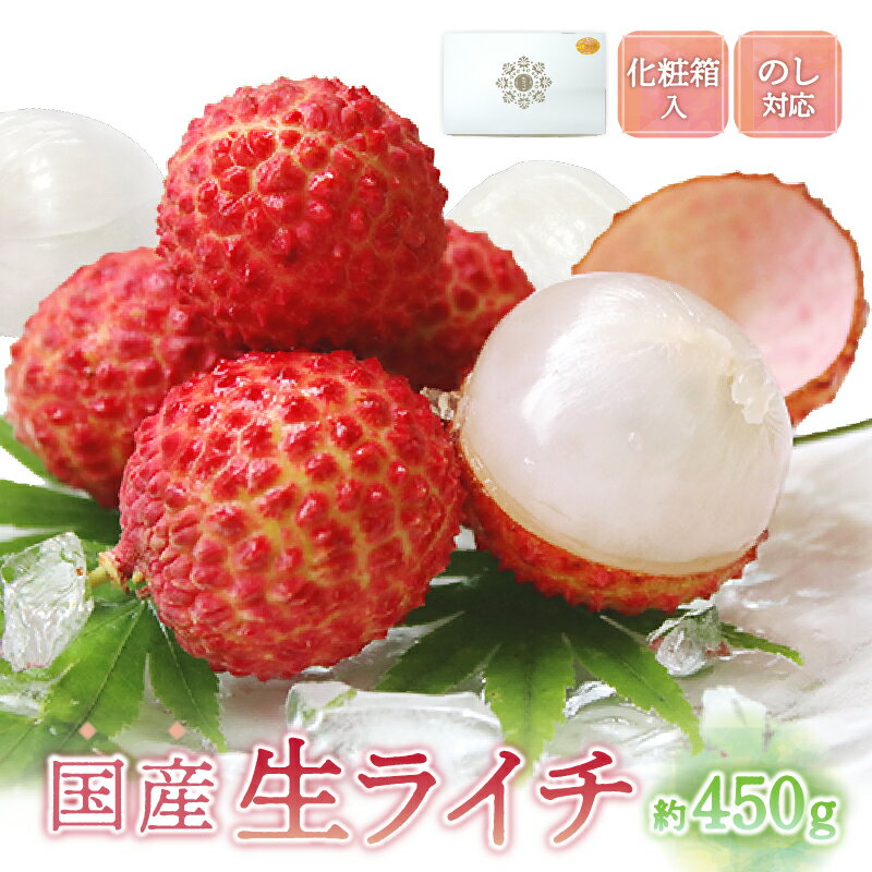 希少 国産 綾生ライチ 化粧箱入り / 宮崎県 綾町産 ライチ 果物 高級 フルーツ 国産ライチ ギフト 贈答 先行受付 予約 産地直送 期間限定 送料無料 ふるさと納税