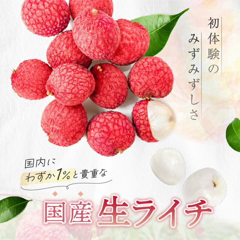 【ふるさと納税】希少 国産 綾生ライチ 化粧箱入り / 宮崎県 綾町産 ライチ 果物 高級 フルーツ 国産ライチ ギフト 贈答 先行受付 予約 産地直送 期間限定 送料無料 ふるさと納税 サムネイル2