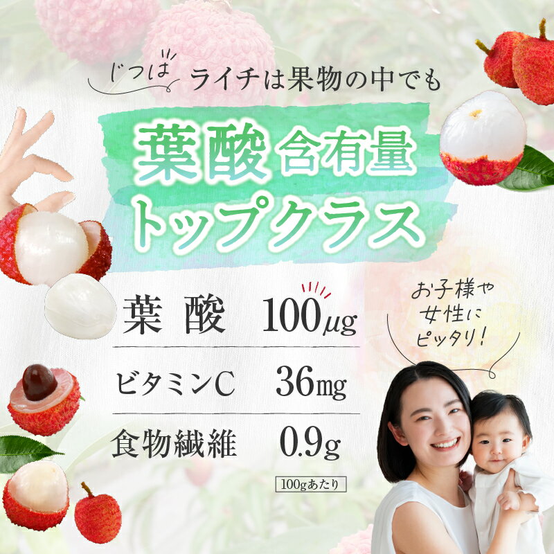 【ふるさと納税】希少 国産 綾生ライチ 化粧箱入り / 宮崎県 綾町産 ライチ 果物 高級 フルーツ 国産ライチ ギフト 贈答 先行受付 予約 産地直送 期間限定 送料無料 ふるさと納税 サムネイル3