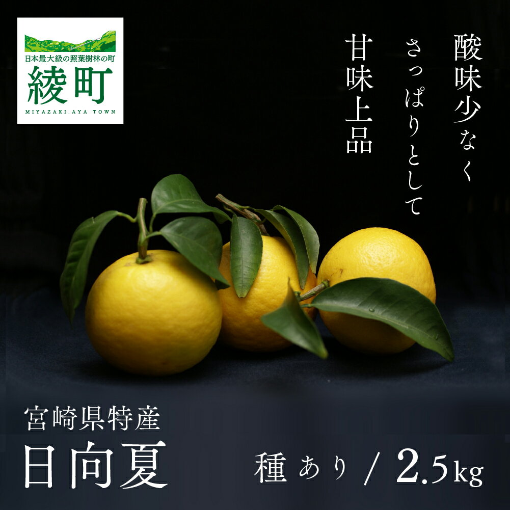 日向夏 種あり 2.5kg 先行受付 2026年3月発送 ニューサマーオレンジ 柑橘 ギフト 贈答 送料無料