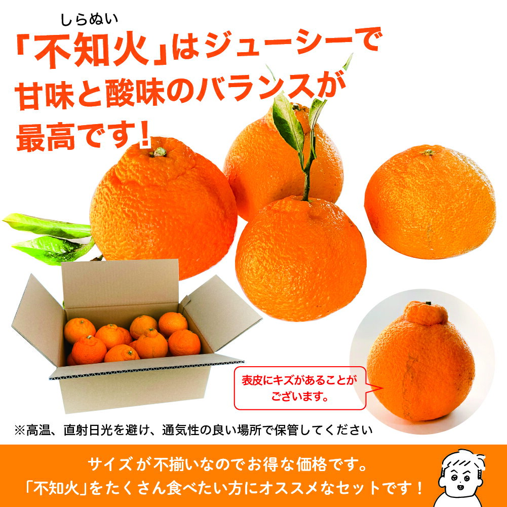 【ふるさと納税】[先行予約] 不知火 サイズいろいろ お得な5kg みかん しらぬい 不知火 フルーツ 柑橘 蜜柑 果物 くだもの 宮崎 綾町 サムネイル2