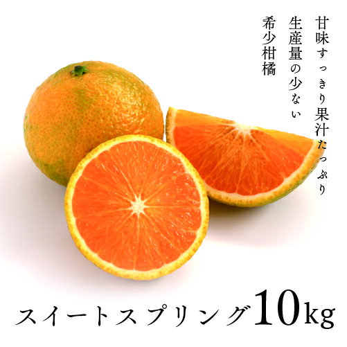 希少柑橘「スイートスプリング」10kg【訳あり】 はっさく みかん ギフト 贈答 送料無料