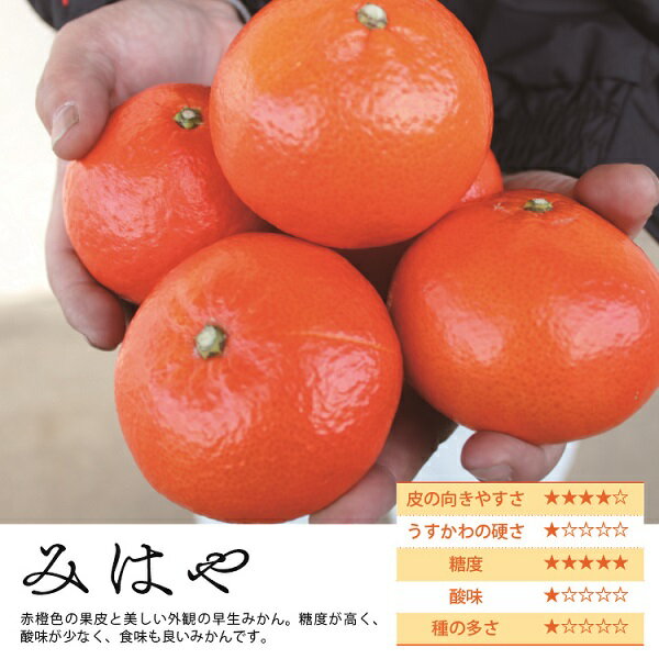 【ふるさと納税】みはや 2kg [化粧箱] みかん ギフト 贈答 送料無料 サムネイル2