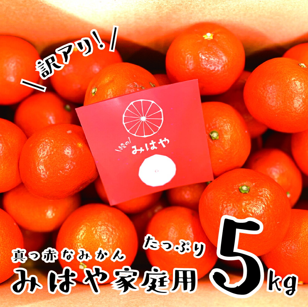 みはや 5kg【訳あり】 みかん ギフト 贈答 送料無料