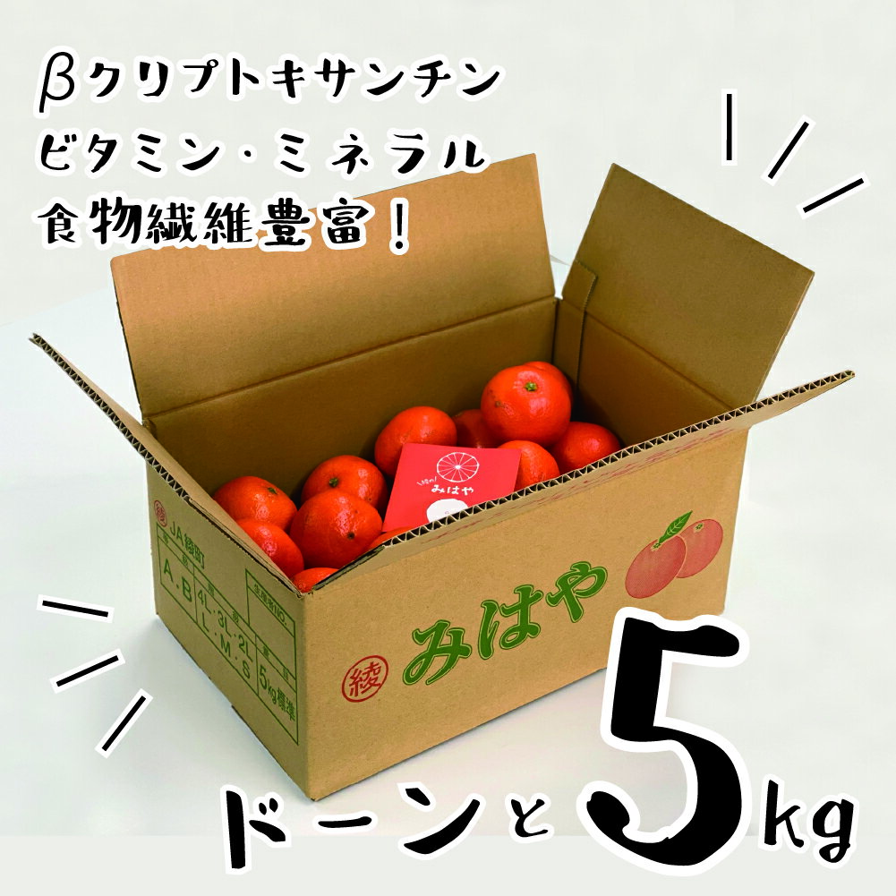【ふるさと納税】みはや 5kg【訳あり】 みかん ギフト 贈答 送料無料 サムネイル3