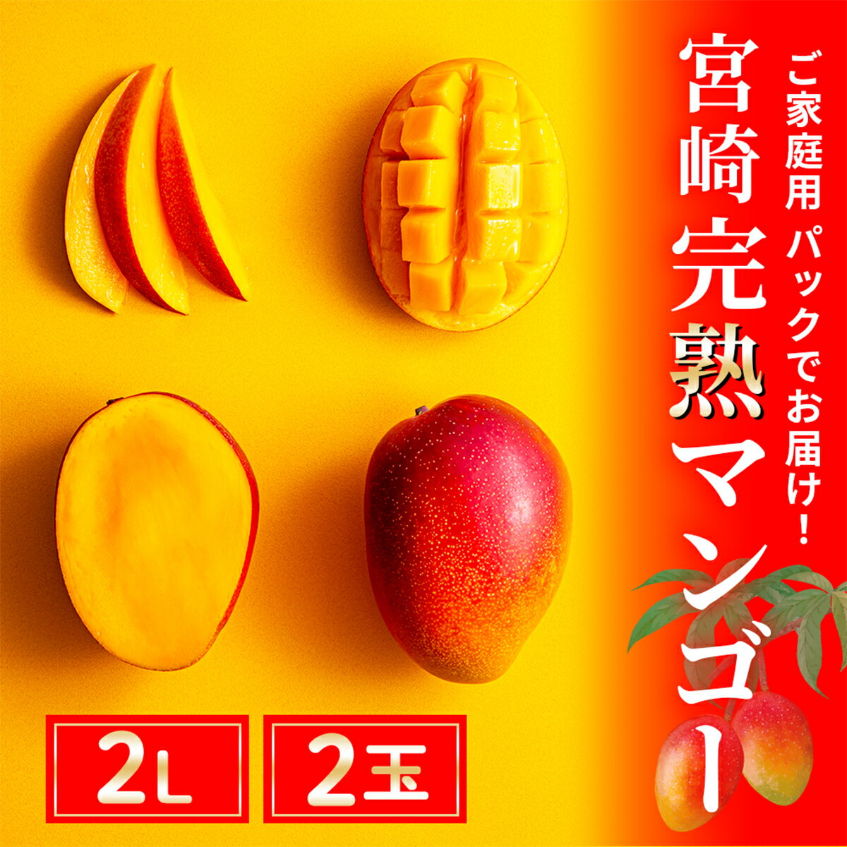 先行予約 完熟マンゴー 2L×2玉（パック）/ 宮崎県産 綾町 マンゴー 果物 フルーツ 先行受付 産地直送 期間限定 濃厚 家庭用 人気 2026年 送料無料 ふるさと納税