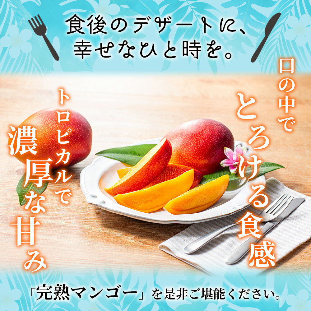 【ふるさと納税】先行予約 完熟マンゴー 2L×2玉（パック）/ 宮崎県産 綾町 マンゴー 果物 フルーツ 先行受付 産地直送 期間限定 濃厚 家庭用 人気 2026年 送料無料 ふるさと納税 サムネイル2