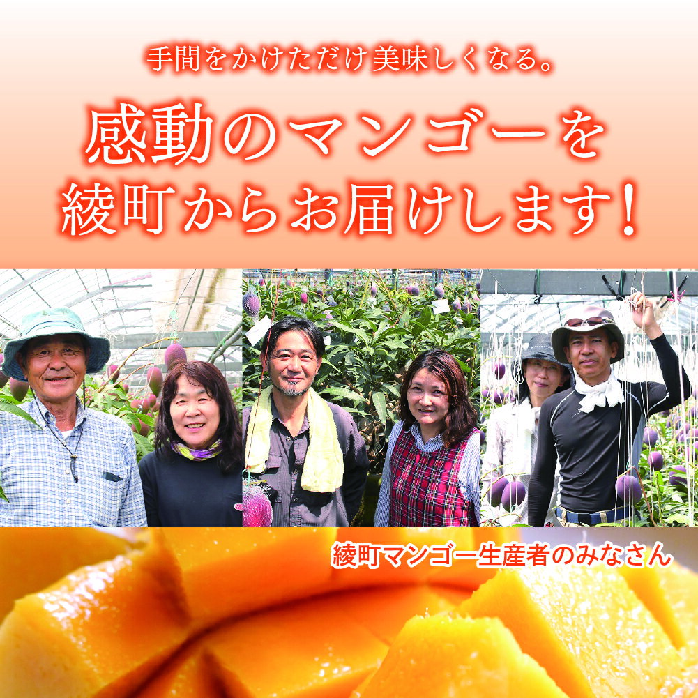 【ふるさと納税】先行予約 完熟マンゴー 2L×2玉（パック）/ 宮崎県産 綾町 マンゴー 果物 フルーツ 先行受付 産地直送 期間限定 濃厚 家庭用 人気 2026年 送料無料 ふるさと納税 サムネイル3