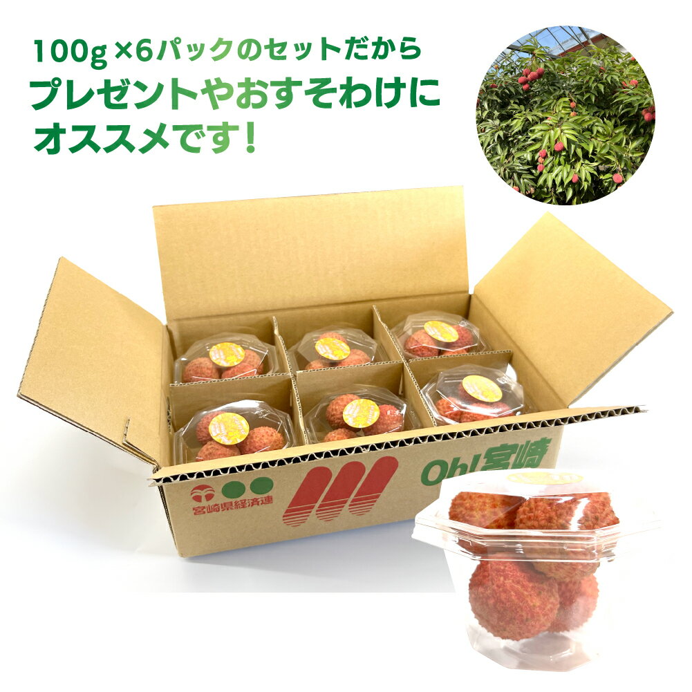 【ふるさと納税】希少 国産 綾生ライチ お裾分けセット [6パック] / 宮崎県 綾町産 ライチ 果物 フルーツ 先行受付 予約 産地直送 期間限定 小分け 冷蔵 送料無料 ふるさと納税 サムネイル2