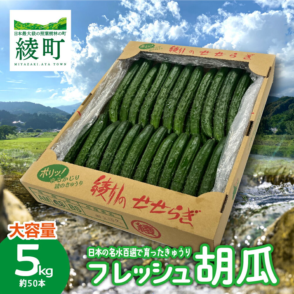 綾川の恵み「フレッシュ胡瓜（きゅうり）」5kg / 宮崎県産 綾町産 きゅうり 胡瓜 産地直送 期間限定 送料無料 ふるさと納税