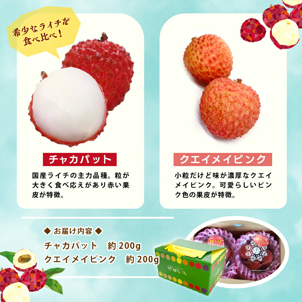 【ふるさと納税】希少 国産 綾生ライチ 2種食べ比べセット / 宮崎県産 綾町産 ライチ 果物 フルーツ 先行受付 予約 産地直送 期間限定 甘い 人気 送料無料 ふるさと納税 サムネイル2