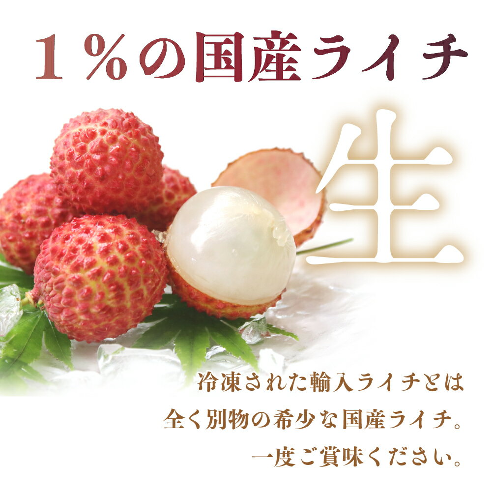 【ふるさと納税】希少 国産 綾生ライチ 2種食べ比べセット / 宮崎県産 綾町産 ライチ 果物 フルーツ 先行受付 予約 産地直送 期間限定 甘い 人気 送料無料 ふるさと納税 サムネイル3