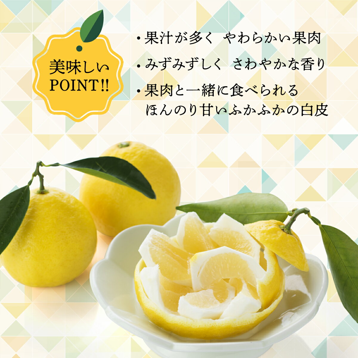 【ふるさと納税】日向夏 種あり 2.5kg 先行受付 2026年3月発送 ニューサマーオレンジ 柑橘 ギフト 贈答 送料無料 サムネイル3