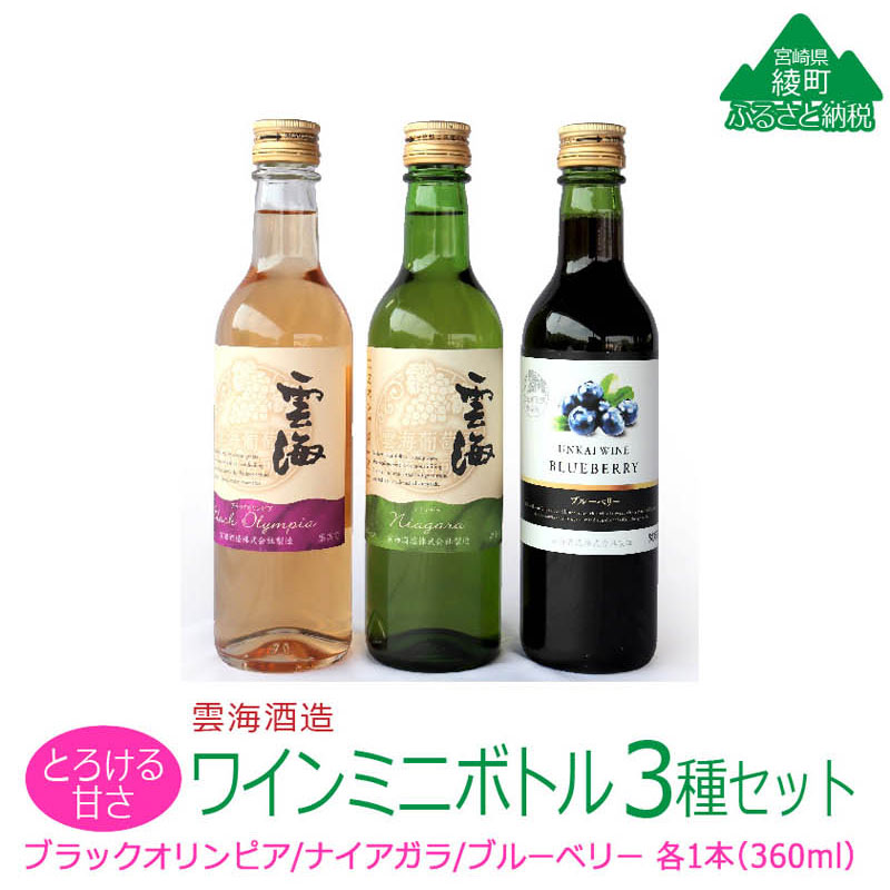 雲海ワイン お試しミニボトル 3種類 白 ブルーベリー 飲みやすい 甘口 ワイン 少量 360ml