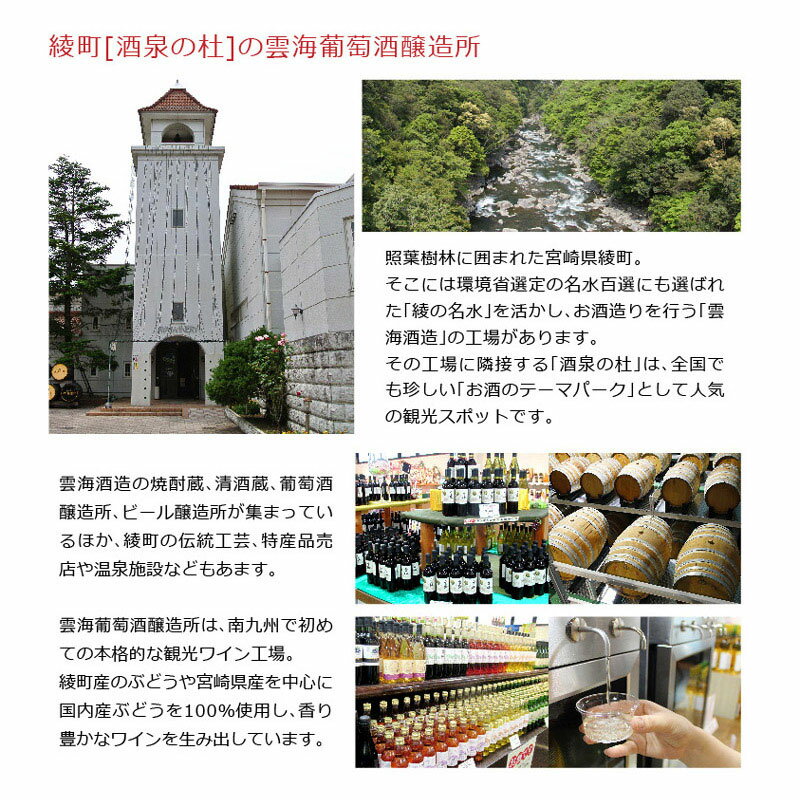 【ふるさと納税】雲海ワイン お試しミニボトル 3種類 白 ロゼ 赤 ワイン 少量 360ml サムネイル2