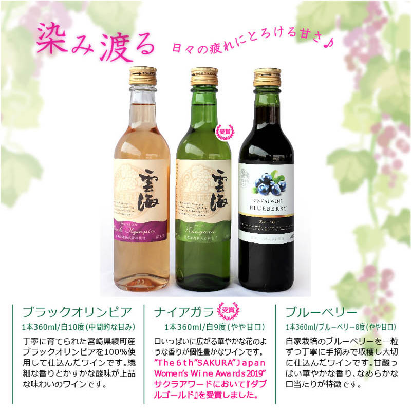 【ふるさと納税】雲海ワイン お試しミニボトル 3種類 白 ブルーベリー 飲みやすい 甘口 ワイン 少量 360ml サムネイル3