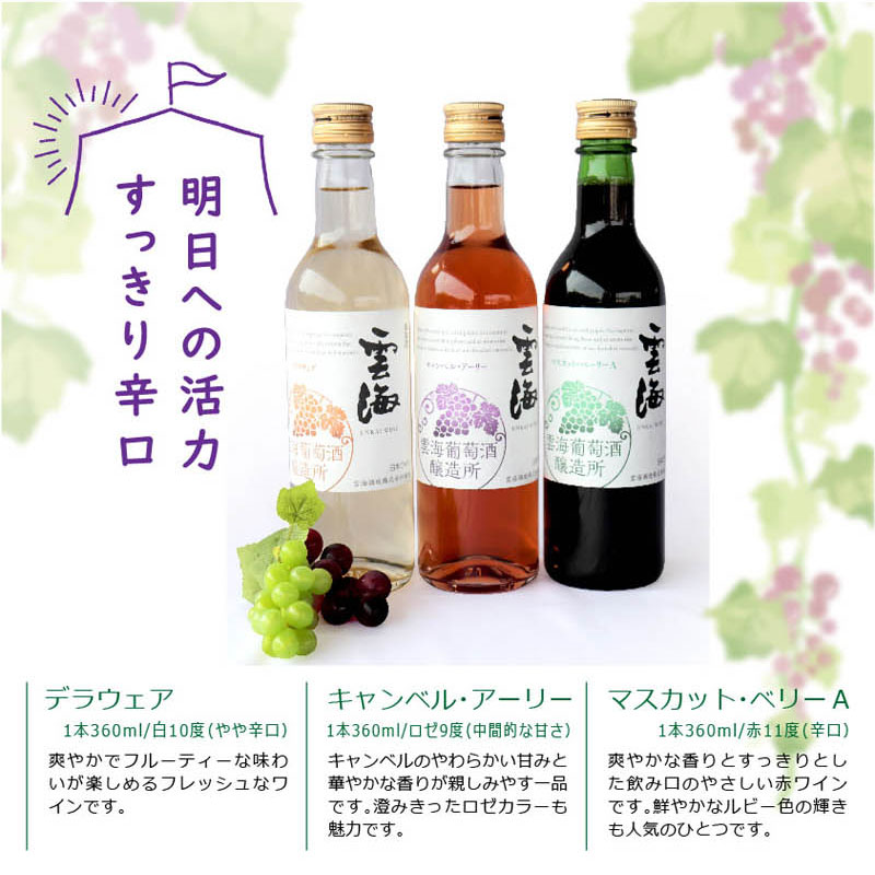 【ふるさと納税】雲海ワイン お試しミニボトル 3種類 白 ロゼ 赤 ワイン 少量 360ml サムネイル3