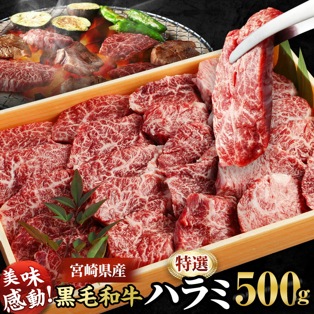 ＜宮崎県産黒毛和牛特選ハラミ500g＞ ※入金確認後、2026年9月末迄に順次出荷します。はらみ ホルモン 牛肉 特産品 牛乃屋 キャンプ 宮崎県 高鍋町 【冷凍】