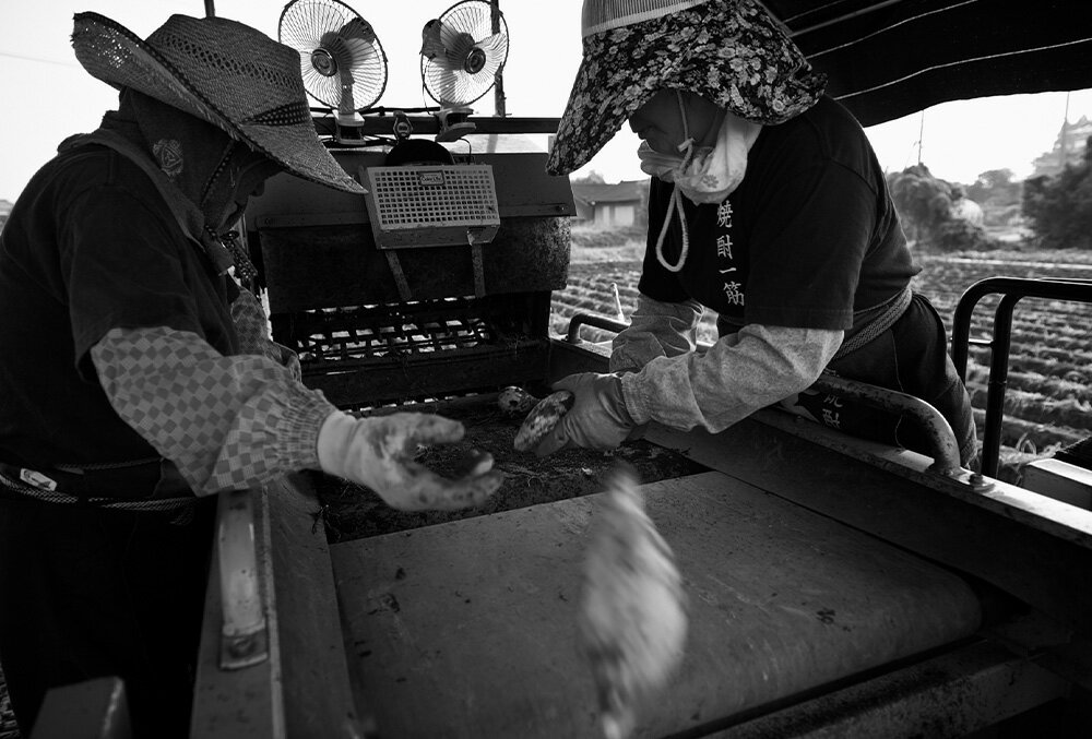 【ふるさと納税】【1日10本限定】【楽天限定】＜百年の孤独 720ml×1本 おひとり様1本まで＞翌月末迄に順次出荷 酒 お酒 アルコール 焼酎 麦焼酎 麦 常温 国産 九州 宮崎 岩切酒屋 江崎酒店 宮崎県 高鍋町 送料無料 - 画像3