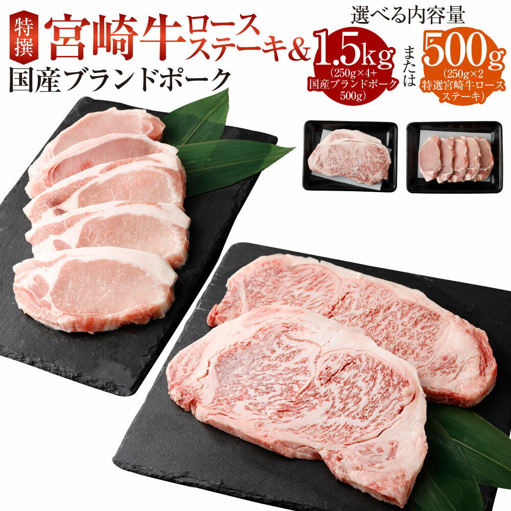 ＜特選宮崎牛ロースステーキ 1kg＋ブランドポーク100g×5枚＞または＜特撰宮崎牛ロースステーキ 500g＞※入金確認後、2025年2月より順次出荷します。 黒毛和牛 花いちもんめ 宮崎牛 和牛 牛肉 肉 ロース ステーキ 特産品 宮崎県 高鍋町 【冷凍】