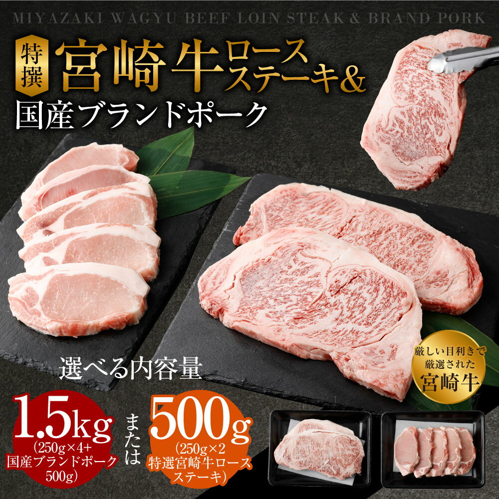 【ふるさと納税】＜特選宮崎牛ロースステーキ 1kg＋ブランドポーク100g×5枚＞または＜特撰宮崎牛ロースステーキ 500g＞※入金確認後、2026年2月より順次出荷します。 黒毛和牛 花いちもんめ 宮崎牛 和牛 牛肉 肉 ロース ステーキ 特産品 宮崎県 高鍋町 【冷凍】 - 画像2