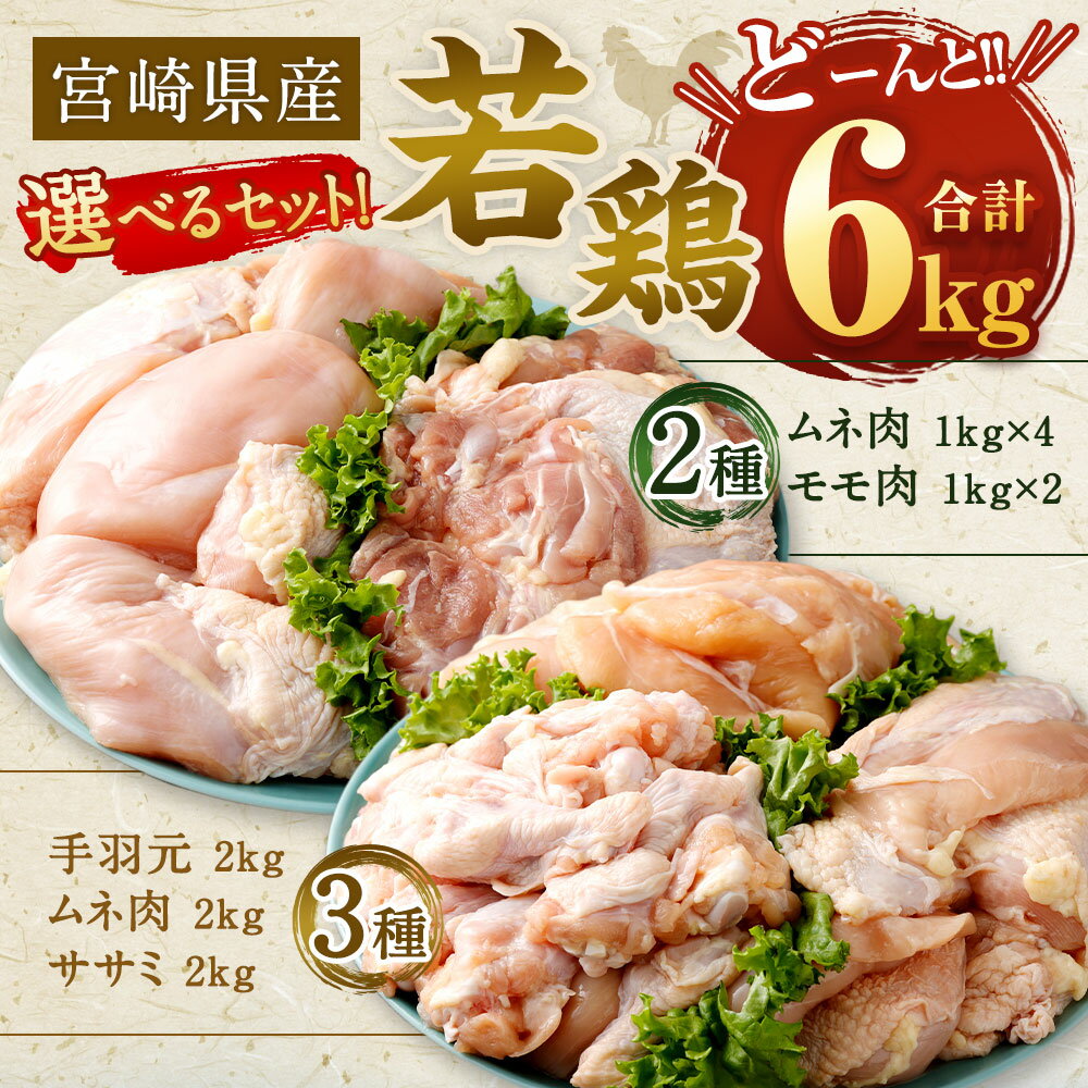 【ふるさと納税】＜宮崎県産 若鶏 2種 または 3種 計6kg セット＞翌月末迄に順次出荷 鶏肉 鳥肉 肉 個包装 ムネ モモ 手羽元 花いちもんめ 鶏肉 特産品 宮崎県 高鍋町 【冷凍】 サムネイル2