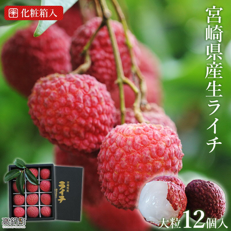 【先行予約】＜宮崎県産ライチ大粒12個入り＞2026年7月中に順次出荷 ライチ 茘枝 果物 フルーツ 果実 贈答用 ギフト ミキファーム 特産品 宮崎県 高鍋町 【冷蔵】
