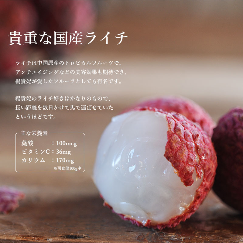 【ふるさと納税】【先行予約】＜宮崎県産ライチ600g＞2026年7月中に順次出荷 茘枝 果物 フルーツ 果実 贈答用 ギフト ミキファーム 特産品 宮崎県 高鍋町 【冷蔵】 サムネイル2