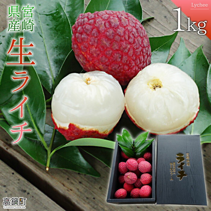 【先行予約】＜宮崎県産 生ライチ 1kg＞2026年7月中に順次出荷 ライチ フルーツ 特産品 茘枝 果物 贈答用 宮崎県 高鍋町 ミキファーム 【冷蔵】