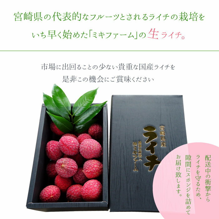 【ふるさと納税】【先行予約】＜宮崎県産 生ライチ 1kg＞2026年7月中に順次出荷 ライチ フルーツ 特産品 茘枝 果物 贈答用 宮崎県 高鍋町 ミキファーム 【冷蔵】 サムネイル3